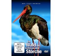 Im Wald der schwarzen Störche - Der Schwarzstorch zurück in deutschen Wäldern