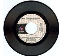 I'm Your Boogie Man / Wrap Your Arms Around Me 7" 45