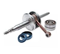 IM07058 ALBERO MOTORE COMPLETO CON CUSCINETTI DR MINARELLI VERTICALE