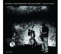 Imaginary Numbers - Joe Mcphee (Audio CD)