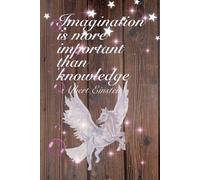 IMAGINATION IS MORE IMPORTANT THAN KNOWLEDGE. INSPIRATIONAL NOTEBOOK.: SOFT-COVER, LINED 100 PAGES 6X9".