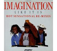 Imagination - Like it is-Hot sensational remixes [Vinyl LP]