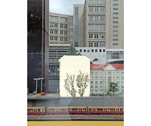 Imago Urbis. Il mondo rappresentato dentro al mondo fotografato - [Crowdbooks]