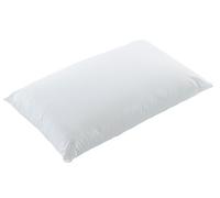 IMBOTTITURA CUSCINO DIVANO ANIMA INTERNO ARREDAMENTO VARIE MISURE 40 45 50 60 70