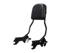 imbottitura portapacchi Kit hardware di aggancio per schienale Sissy Bar per moto adatto per Harley Softail Slim Heritage Classic Street Bob 114 Schienale(Style A)