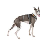 Imbracatura a 3 punti anti-scappamento anti-scappamento - Ideale per Lebreles: levriero italiano, whippet, levriero, podenco - Sicuro, traspirante e durevole - Perfetto per camminare, allenare e