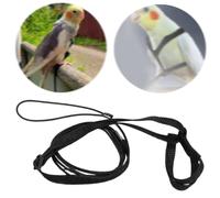 Imbracatura degli uccelli e guinzaglio nylon uccello volante imbracatura per
