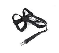 Imbracatura di sicurezza auto poliestere taglia M 50>70 x 2,5 cm nero