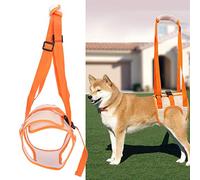 Imbracatura di Sollevamento per Cani da Compagnia, Cintura di Supporto per le Gambe Posteriori del Cane in Rete Aiuta il Sollevamento di Cani Disabili Aiuta con Lesioni Articolari di Scarsa(XL)