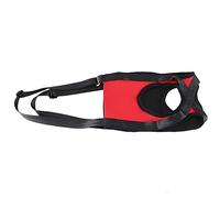 Imbracatura di Supporto per Cani, Imbracatura di Sollevamento per Cani Rossa di 2, Comoda per Cani Feriti Che Aiutano a Camminare (Zampe anteriori rosse M)
