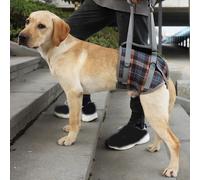 Imbracatura di supporto per cani traspirante per le zampe posteriori