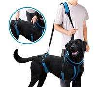 Imbracatura di supporto per imbracatura per cani Imbracatura per cani Corpo