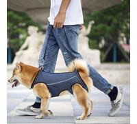 Imbracatura di supporto per sollevamento cani Cinghia per trasportino per