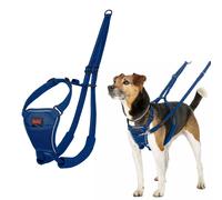 Imbracatura per Cani Company of Animals Blue 20