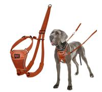 Imbracatura per Cani Company of Animals BURNT Arancio L