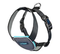 Imbracatura per Cani Company of Animals CarSafe Nero L