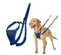 Imbracatura per Cani Company of Animals COBALT Azzurro 12