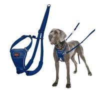 Imbracatura per Cani Company of Animals COBALT Azzurro L