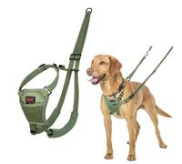 Imbracatura per Cani Company of Animals FOREST Verde 12