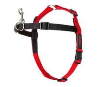 Imbracatura per Cani Company of Animals Halti Nero/Rosso Taglia S [36-64 cm]