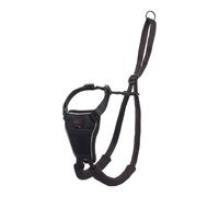 Imbracatura per Cani Company of Animals Halti Taglia S [26-36 cm]