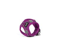 Imbracatura per Cani Gloria Trek Star 27-28 cm 31-34,6 cm Viola XS