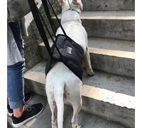 Imbracatura Per Cani Imbracatura Di Sostegno Per La Mobilità Con Imbracatura