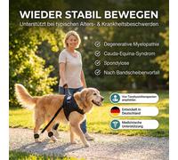 Imbracatura Per Cani Malati / Imbracatura Per Cani / Sviluppo Muscolare Per Cani