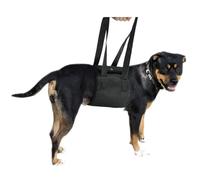 Imbracatura per Cani per Zampe Posteriori, Imbracatura Regolabile per il Sollevamento di Cani, Assistenza al Recupero e Ausili per la Mobilità per Anziani, Feriti e Disabili