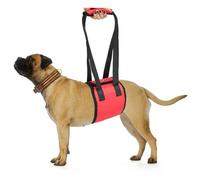 Imbracatura per Cani per Zampe Posteriori, Imbracatura Regolabile per il Sollevamento di Cani, Assistenza al Recupero e Ausili per la Mobilità per Anziani, Feriti e Disabili