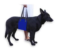 Imbracatura per Cani per Zampe Posteriori, Imbracatura Regolabile per il Sollevamento di Cani, Assistenza al Recupero e Ausili per la Mobilità per Anziani, Feriti e Disabili