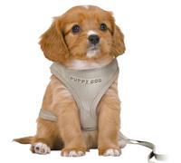 Imbracatura per Cani Trixie Junior Grigio chiaro M/L