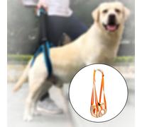 Imbracatura per il sollevamento del cane Imbracatura per le gambe posteriori