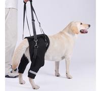 Imbracatura per zampe posteriori per cani, durevole, pratica, il supporto
