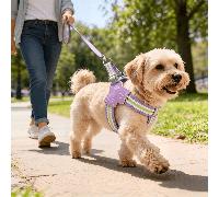 Imbracatura universale con motivo jacquard per cani di piccola e media taglia, adatta a tutte le stagioni, con guinzaglio, corda riflettente per passeggiate notturne, imbracatura regolabile anti-fuga