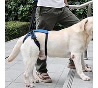 Imbragatura di supporto per il sollevamento delle zampe posteriori del cane,