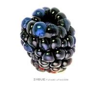 Imbue - Ritual in Bloom