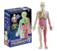 imFreienawn Modello del Corpo Umano per Bambini, Bagliore nel Modello di Anatomia Umana realistica oscura, Corpo Staccabile Fai -da -Te, Anatomia educativa per Bambini Regalo per per