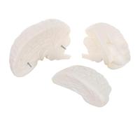 IMIKEYA Modello Di Cervello Per Studio Biologico Modello Di Funzione Cerebrale