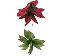 IMIKEYA Piccole piante grasse artificiali 2 pezzi, decorazione interna senza vaso, plastica realistica, imitazione di agave e sansevieria, decorazioni per la casa, l'ufficio e la stanza