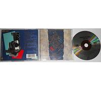 Immaculate Fools - Dumb Poet