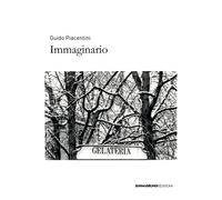 Immaginario. Ediz. illustrata - Piacentini Guido