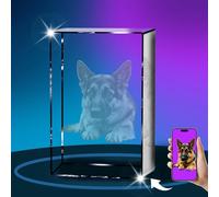 Immagine 3D personalizzata in cristallo, regalo personalizzato con la tua foto, regali commemorativi per cani personalizzati, immagine incisa con cristallo personalizzato per regali di lutto di gatti
