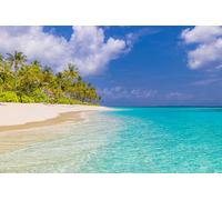 Immagine in acrilico 80 x 50 cm: bella isola paesaggio naturale. Miglior paesaggio tropicale sulla spiaggia. Fantastica costa estiva destinazione vacanza palme sabbia Sunny (227611118)