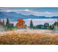 Immagine in legno 120 x 80 cm: Eccellente mattina vista della montagna Valley. Scena autunnale nebbiosa delle montagne dei Carpazi. Maestoso paesaggio del (181893866)