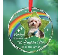 Immagine personalizzata Decorazione del ricordo del lutto del cane, la stella più luminosa nel cielo ornamento di Natale, perdita di nome personalizzato dell'animale domestico simpatia ricordo
