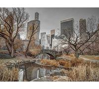 Immagine su TELA ROLLED Parco centrale e skyline di Manhattan, New York Frank Assaf - Paesaggio orizzontale Stampa artistica Bellezza nella natura Ponte Edifici Central Park 24_X_32_in