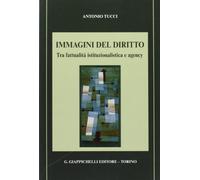 Immagini del diritto. Tra fattualità istituzionalistica e agency