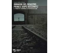 Immagini del disastro prima e dopo Auschwitz. Il «verdetto» di Adorno e la risposta di Celan