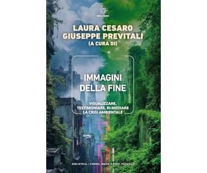 Immagini della fine. Visualizzare, testimoniare, ri-mediare la crisi ambientale